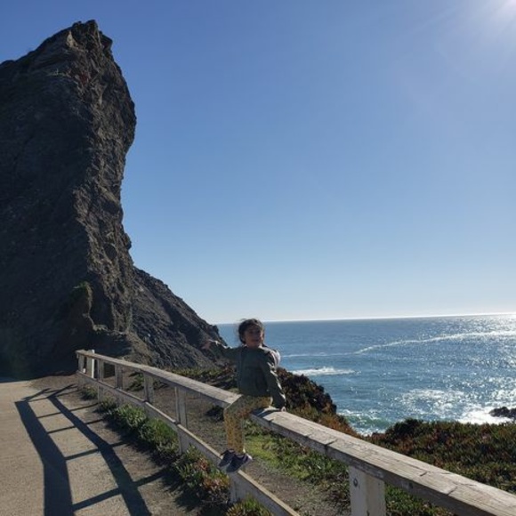 Meet your Posher, Ana - Picture 1 of 1